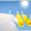 신성세탁 이미지