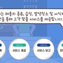 해충더클린