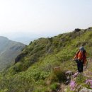 [4월넷째주.13기]제71차 정기산행(전남 보성 사자산 (668M) 이미지