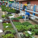 장계농장 이미지