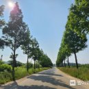 대부바다향기 테마파크 이미지