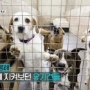 이경규농장 이미지