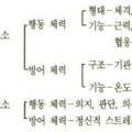 운정 경희대 한결태권도장 이미지