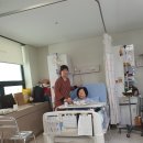 복음간병인협회 이미지