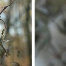 여양목장 이미지