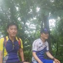 트레이러