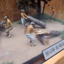 잣나무향기 이미지