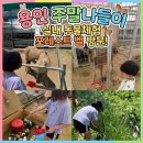 지산농장 | 용인 주말나들이 실내 동물체험 포레스트벨 방문 후기
