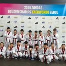 용인대 성민 태권도(반곡관) 이미지