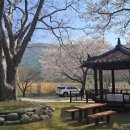 나본마을 쉼터 이미지