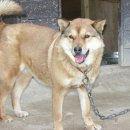 엄마는장금이 이미지