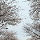 호근서호로 이미지