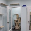 드림 동물병원 이미지