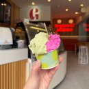 키리빌리(Kirribilli) | 시드니 젤라또 맛집 젤라띠시모 Gelatissimo 노스시드니 키리빌리점 방문후기, 맛 종류