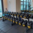 시카고짐 이미지