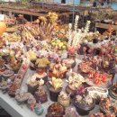 경향농장 이미지