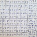 김창완밴드 콘서트 이미지