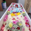 예스의전