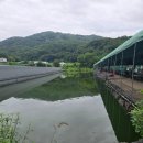 성화낚시터 | 강림낚시터(7.20)