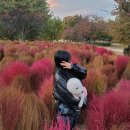 뽀미농장 이미지