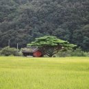 아버지의 흔적... 이미지