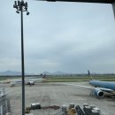 디앤드에스메디컬 | 10월 11월 일상 몰아쓰기