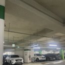 파이브디렉션 | 송파 사진관 먼데이선데이스튜디오 장지역 커플사진 추천 위치 가격 주차 솔직후기