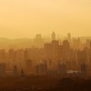 보시기 이미지