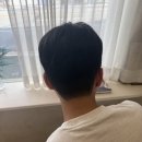 고우디고움