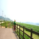 금강레져타운 이미지