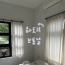 제주첫날 민박 이미지