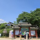 안동