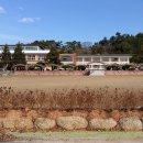 순천별량중학교 Daum카페