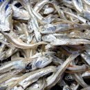 진도멸치 이미지