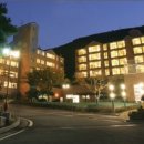 웅천디아일랜드공인중개사사무소 이미지