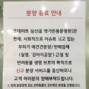 펫가든동물병원 이미지
