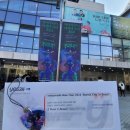 아마자라시 내한 공연 &lt;amazarashi Asia Tour 2024 - 永遠市&gt; 오타쿠적인 후기
