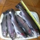 러브팜캠핑장 이미지