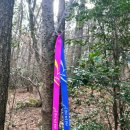 갈맷길(6-4구간) | 부산 갈맷길 6코스 2구간 약12km 구포역 구포무장애숲길 운수사 주례정 걷고 싶은 부산 갈맷길투어