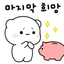 (주)미스티