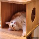 마리앤쥬 | [부산] 마리앤쥬(ZOO) 후기 - 동물들과 교감하는 실내 동물원