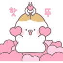 장보는강아지와고양이 신호점 이미지