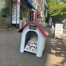 예담축산 이미지