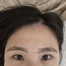 메종동물병원 | 대전 눈썹 문신 잘하는 곳 추천 콤보눈썹 대만족 루미브로우 후기