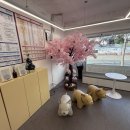 스마트폰으로 통하는 디지털세상 | 부산 휴대폰 성지, '직폰 하단점'에서 경험한 스마트한 변화와 따뜻한 감동 후기!