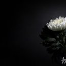 세무법인우일 이미지