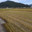 고교농로 이미지