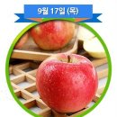경북 의성 토종마늘 정보화마을 네이버블로그