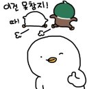 와이낫