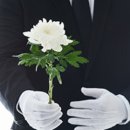 흰지팡이상조